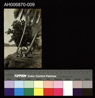 藏品(南洋原住民原版照片)的圖片